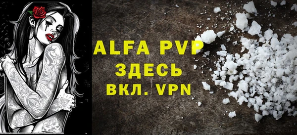 apvp Инта