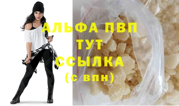 apvp Инта