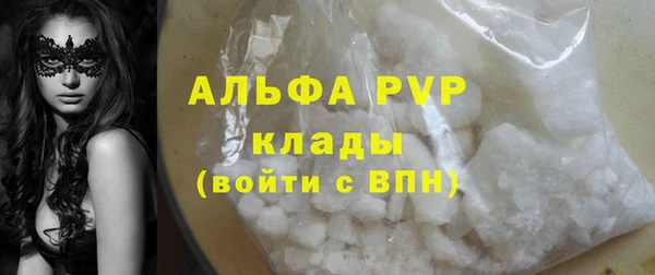 ГАЛЛЮЦИНОГЕННЫЕ ГРИБЫ Инсар
