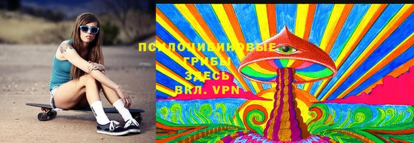 ГАЛЛЮЦИНОГЕННЫЕ ГРИБЫ Инсар
