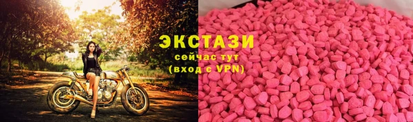 ГАЛЛЮЦИНОГЕННЫЕ ГРИБЫ Инсар
