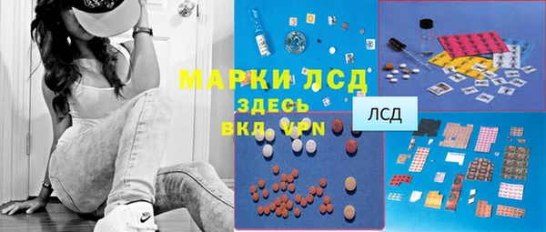 apvp Инта
