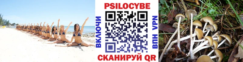 Псилоцибиновые грибы Psilocybine cubensis  наркота  Называевск 